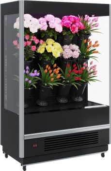 FC20-08 VM 1,0-1 STANDARD FLORA (фронт X7) (9006-9005)